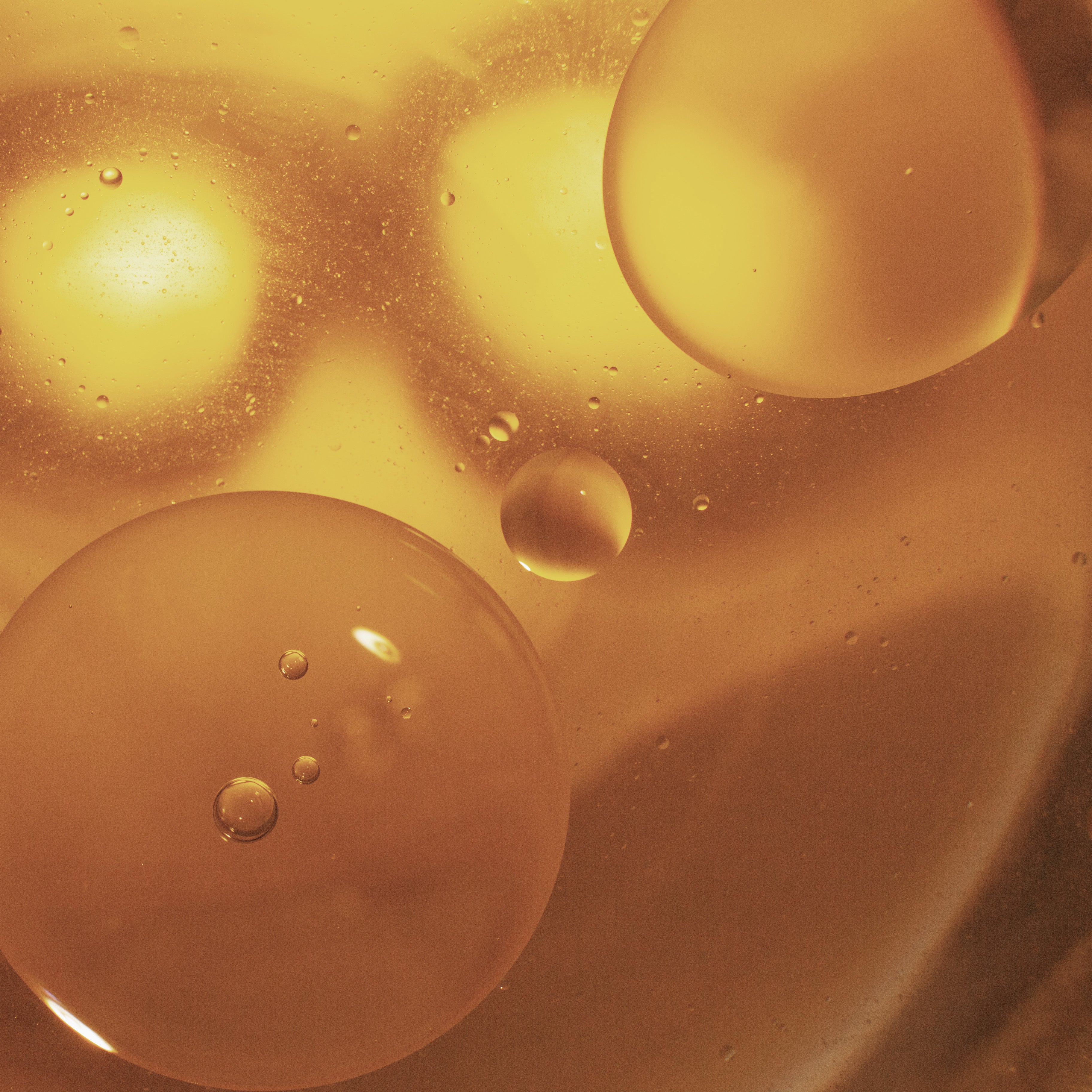 CastorOil_1_1_1e2c26a5-5fc5-4cb5-803e-25ed8b0b2672.jpg