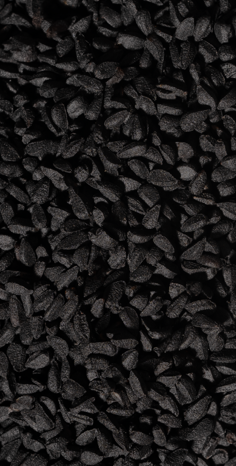 Black Seed Oil