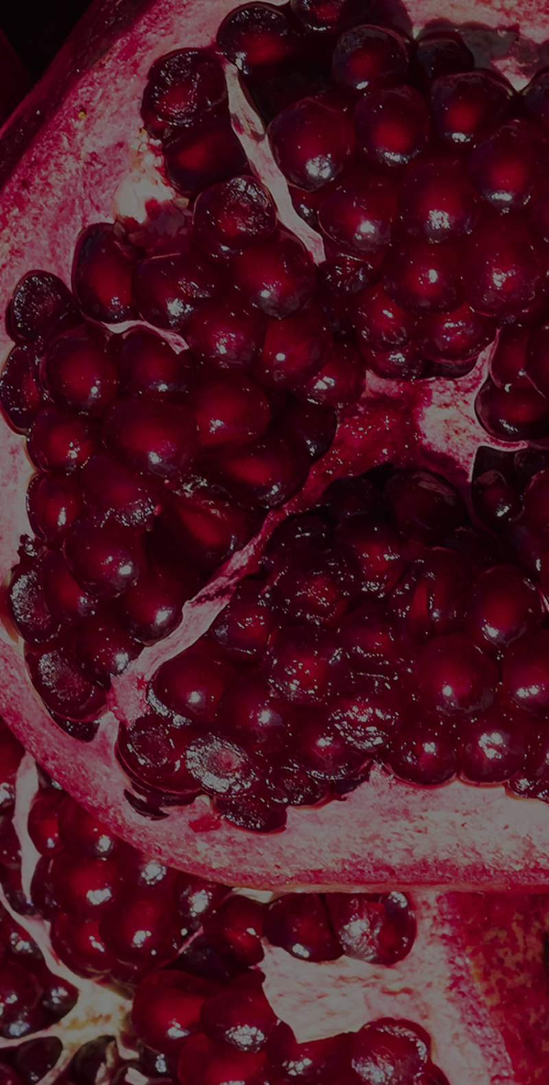 Pomegranate Extract