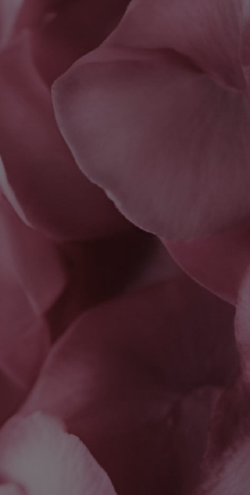 Rose Water