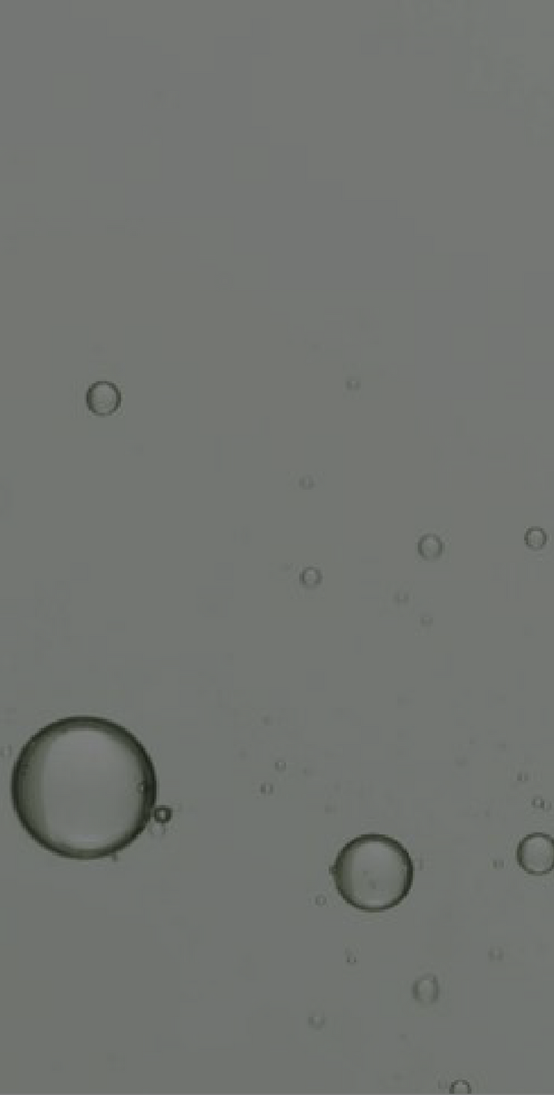 Salicylic Acid (BHA)
