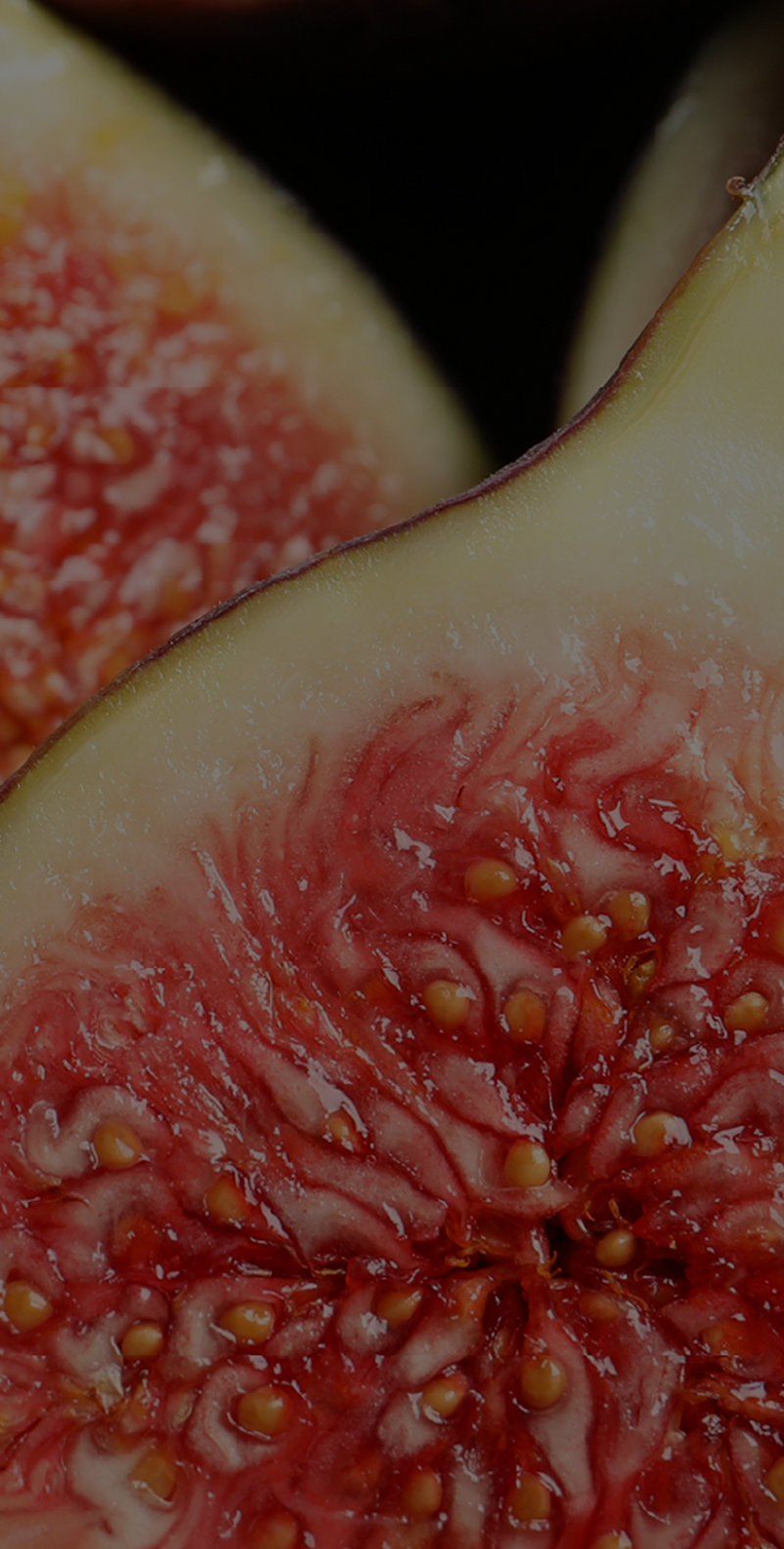 Fig Extract