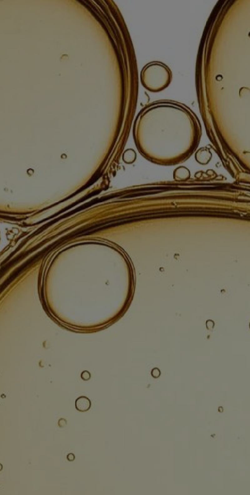 Light-Stable Vitamin C
