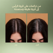 arabic