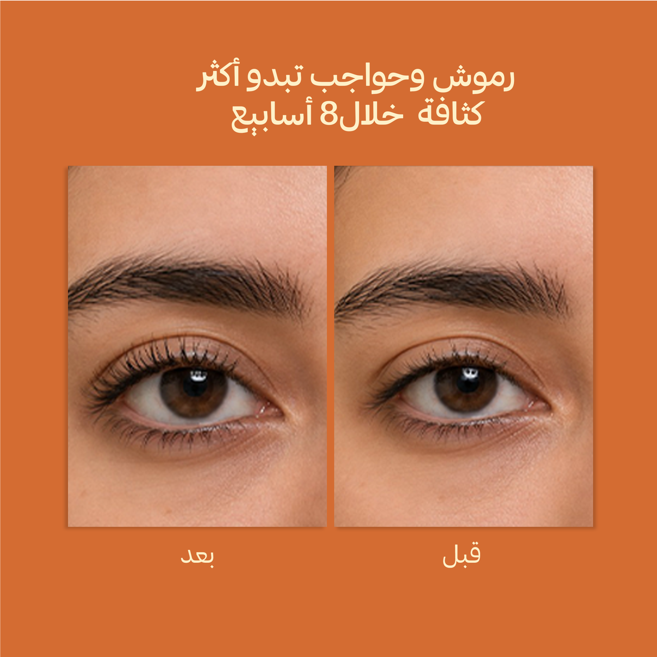 arabic