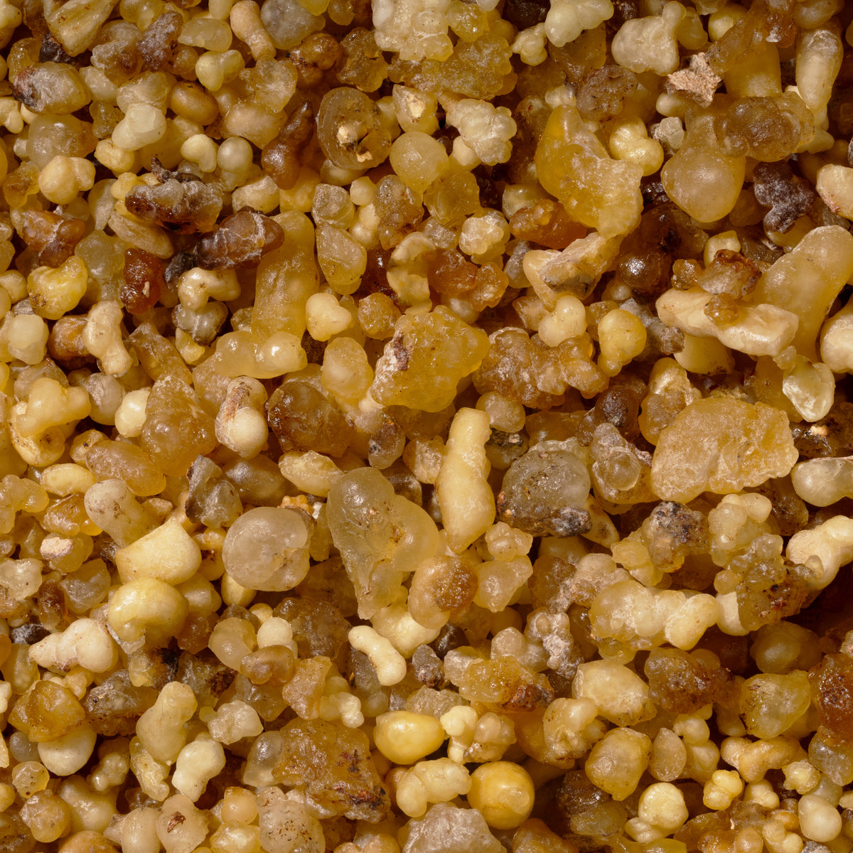 Frankincense (Olibanum)