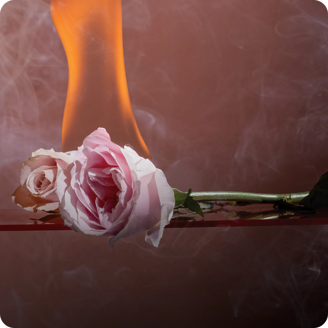 Smell
