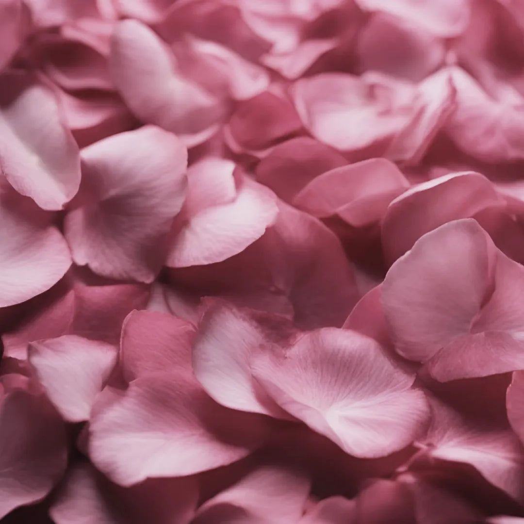 Rose Water