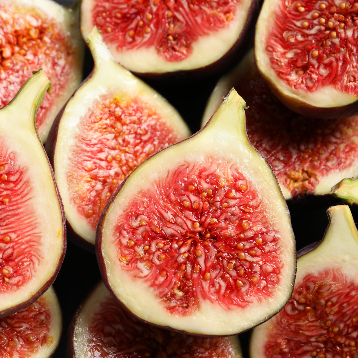 Fig Extract