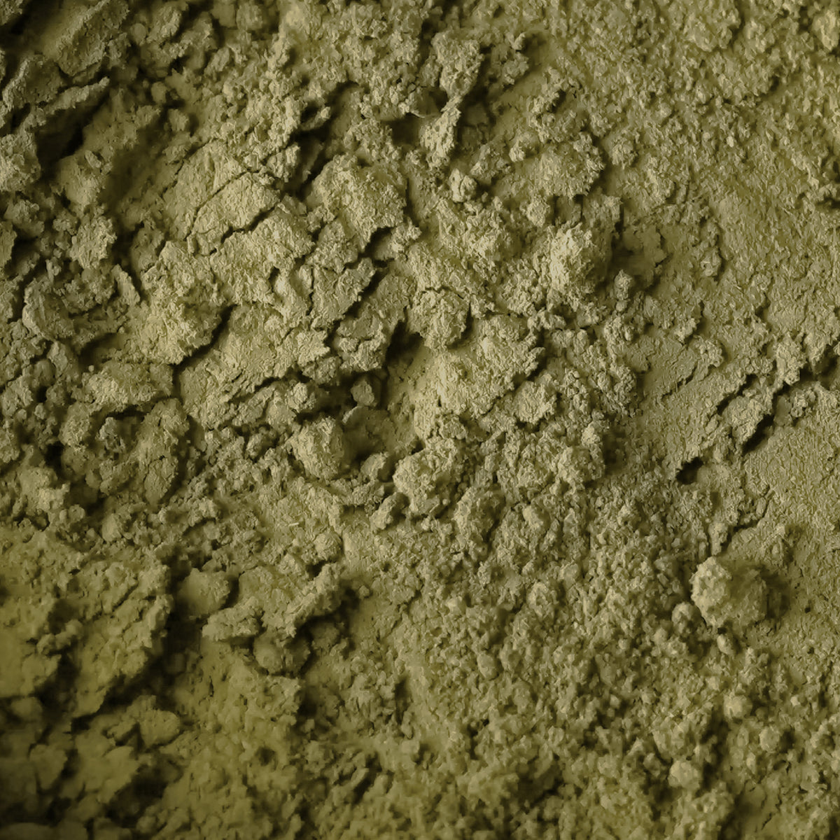 Sidr Powder